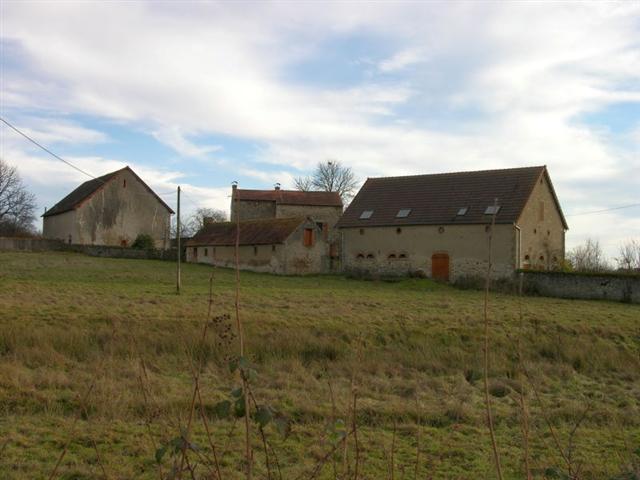 Tex Ranch